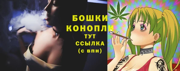 прущие крисы Дмитров